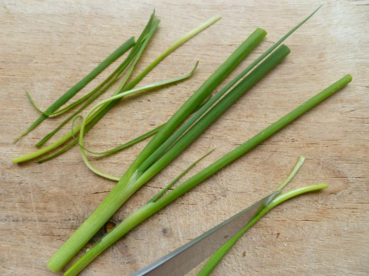 Green onion curls 005