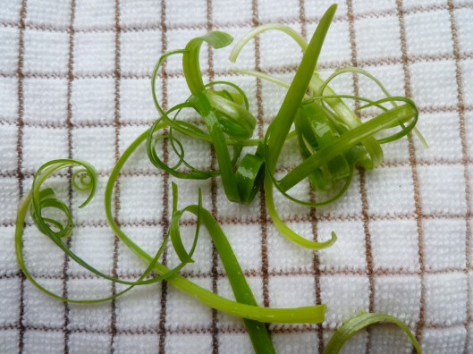 Green onion curls 016