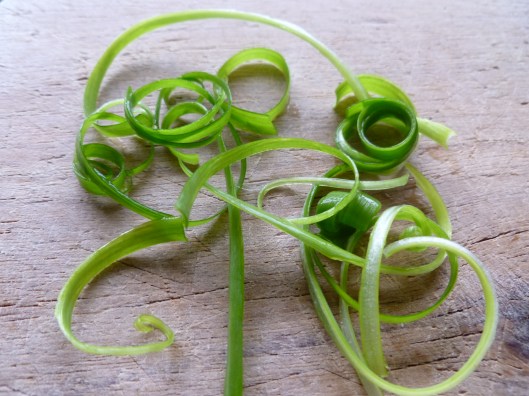 Green onion curls 020