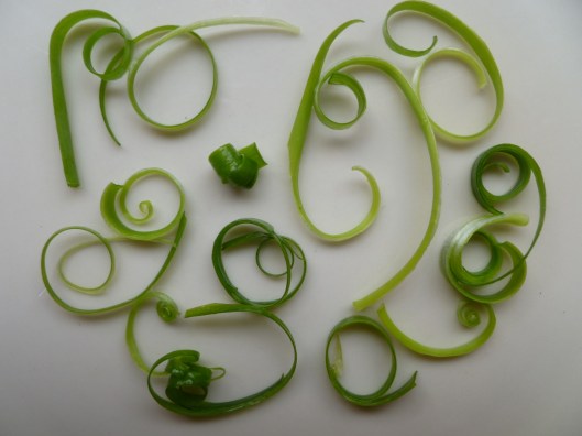 Green onion curls 026
