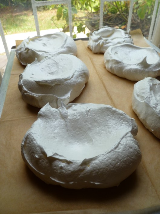 finished merinagues and bird with cherries 001