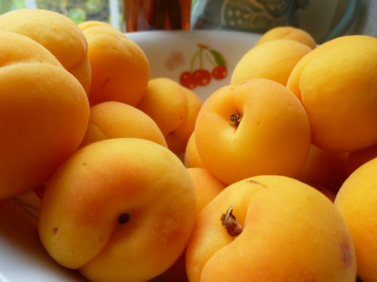 apricots clafoutis ingredients 005