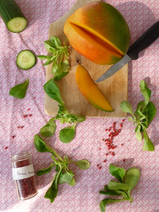 mache mango cucumber rice vinegar vinaigrete 020