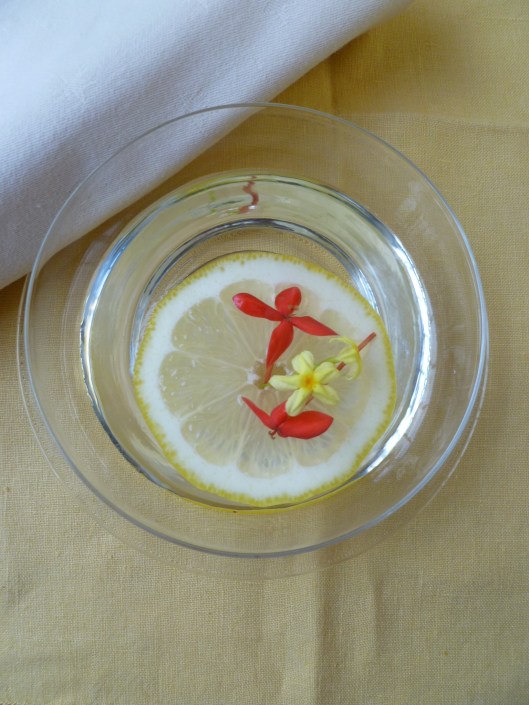 finger bowl more Edam spread on Pita chips 002