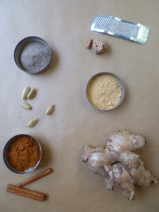 pumpkin challah ing and stepsand Toyota pics 002