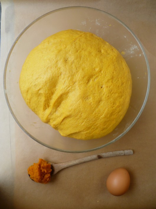 pumpkin challah ing and stepsand Toyota pics 004