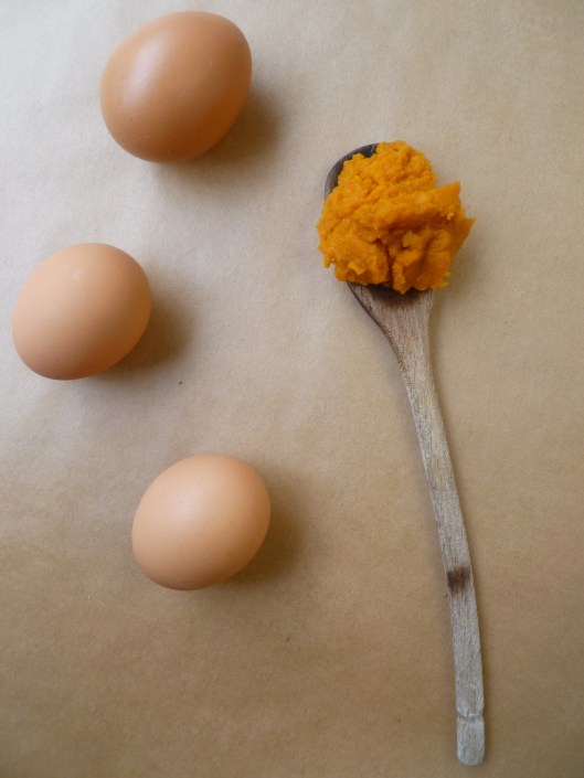 pumpkin challah ing and stepsand Toyota pics 007