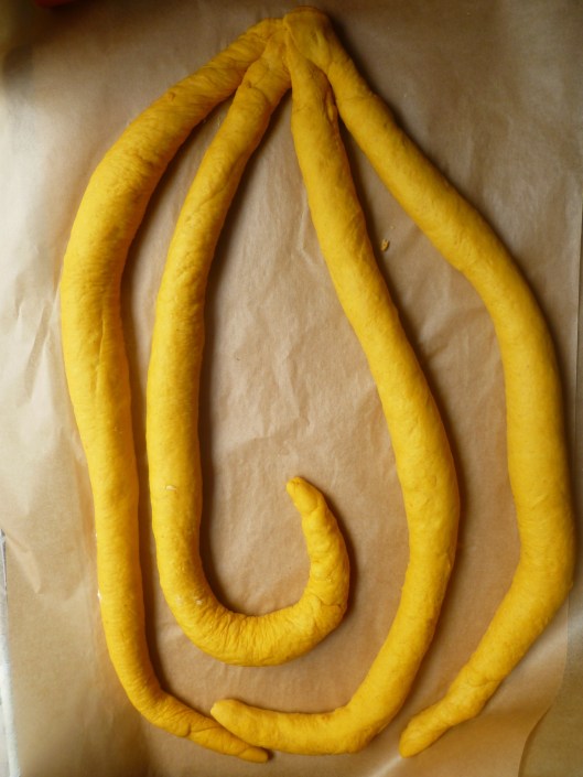 pumpkin challah ing and stepsand Toyota pics 019