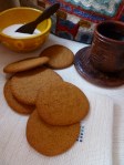 gingersnaps 016
