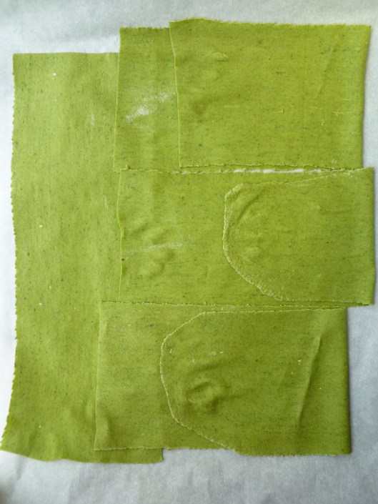 maquechouxall spinachpastasteps 075