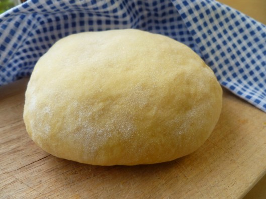 plain spaghetti and fettucine 010