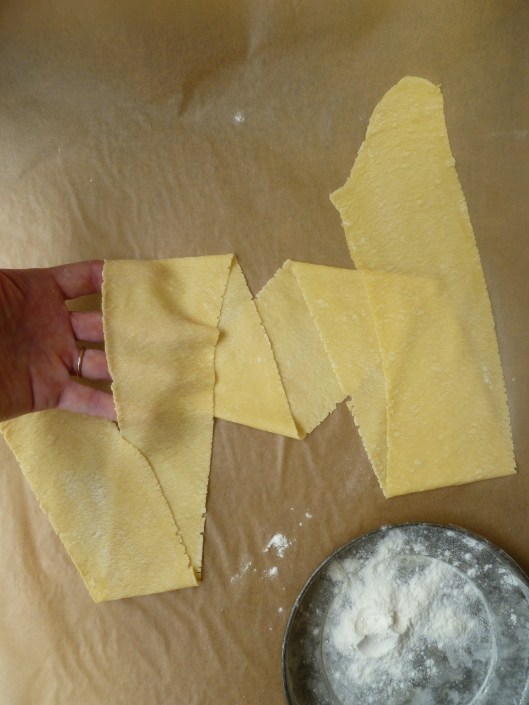 plain spaghetti and fettucine 016