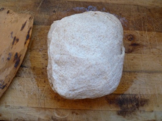 veg bouillion step and cracker step 009