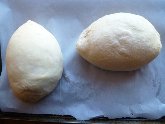 rustic european bread all 067