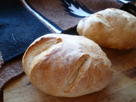 rustic european bread all 074