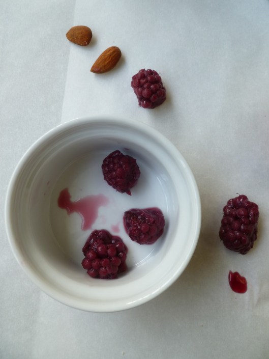 boysenberry amandines 011