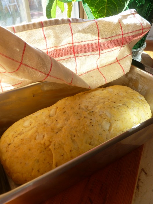 stuffingbread stuffed dumplingfinished 025