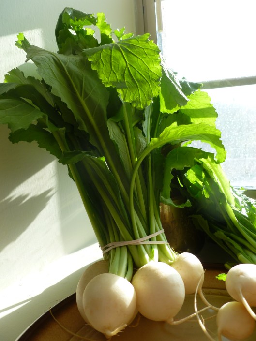 baby radishes and greens 004