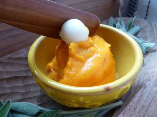 roasted butternut squash puree 016