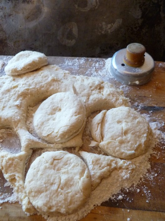 angel biscuits pappas buffalo ing angel finished 023