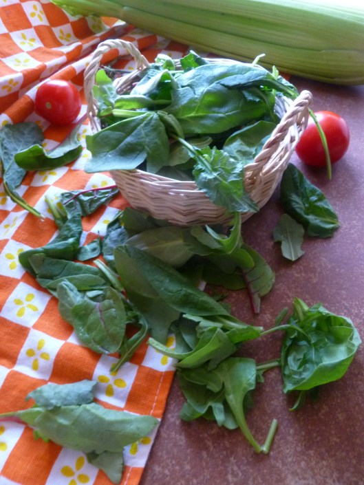 greens for garden sass ing 010