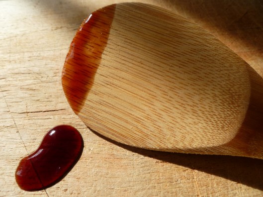 Mango and braesola all 032