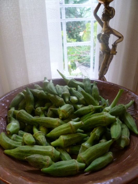 Okra in bowl 012