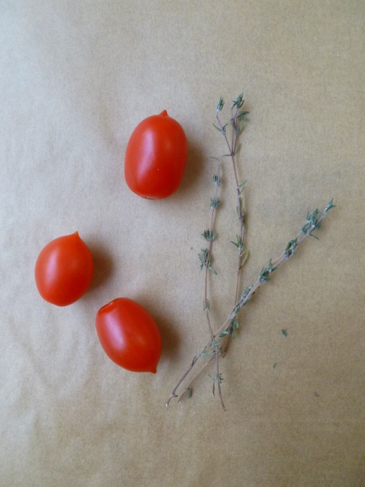 tomatotatinall and some cafe liegoising icecreamboules for freez 007